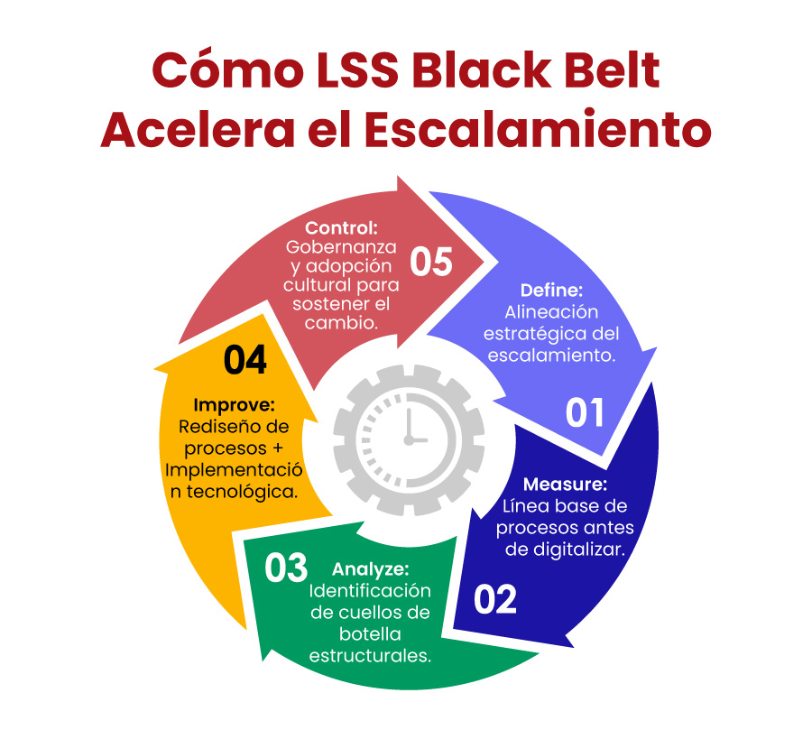 Cómo LSS Black Belt Acelera el Escalamiento