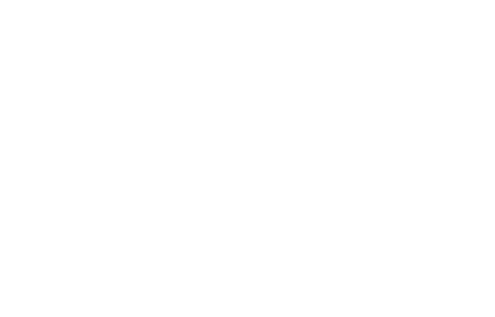logo lss black belt